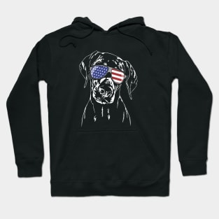 Funny Proud Doberman American Flag sunglasses Hoodie